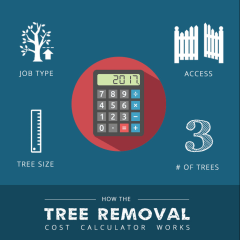 treeremoval