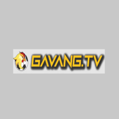 gavangtvwork1