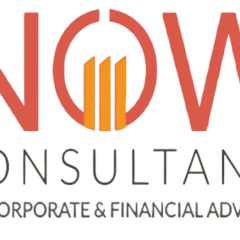 nowexperttaxconsultant