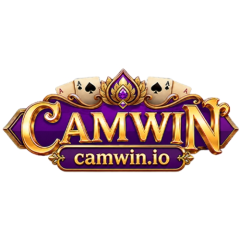 CAMWIN Game