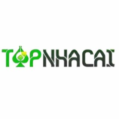 topnhacaivietnet