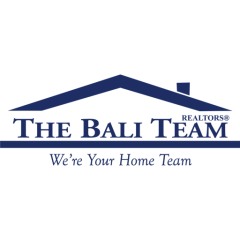 thebaliteam