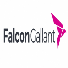 FalconGallant