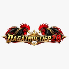 dagatructiep28