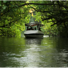 poovarbackwatercruise