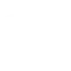 thebngco09