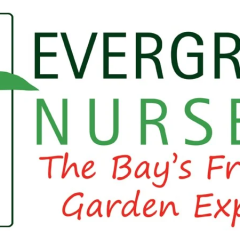 nurserye835