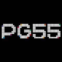 pg555slotslotstore