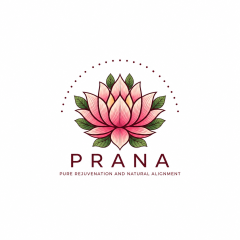 prananaturalalignmentusa