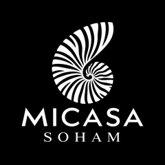 micasarealty